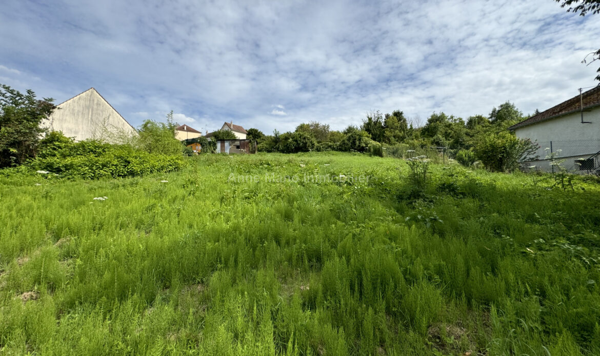 a868a60d.jpg